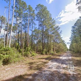 0.26-Acre Lot to Build or Mobile Homes Close to Lake George in Putnam County, FL