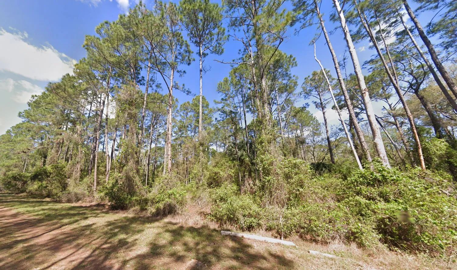 0.26-Acre Lot to Build or Mobile Homes Close to Lake George in Putnam County, FL