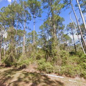 0.26-Acre Lot to Build or Mobile Homes Close to Lake George in Putnam County, FL