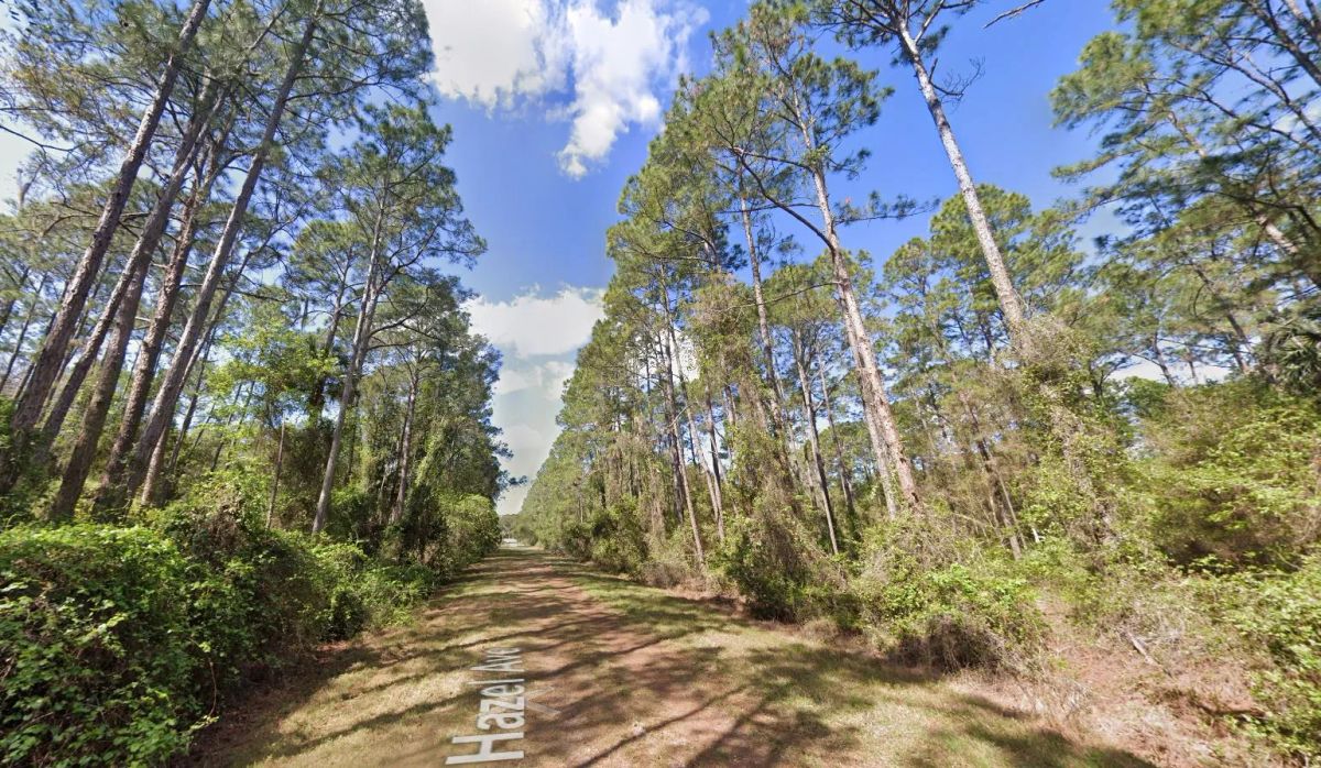 Decorative background for 0.26-Acre Lot to Build or Mobile Homes Close to Lake George image 5
