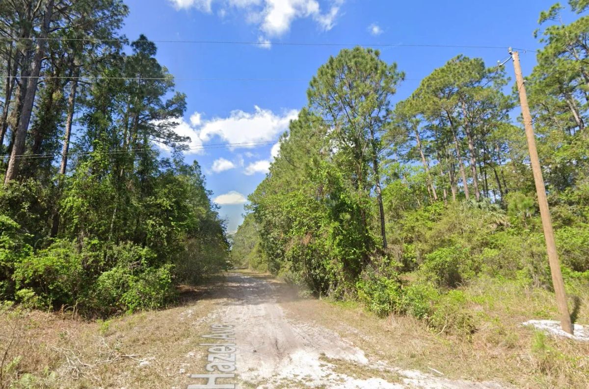 Decorative background for 0.26-Acre Lot to Build or Mobile Homes Close to Lake George image 7