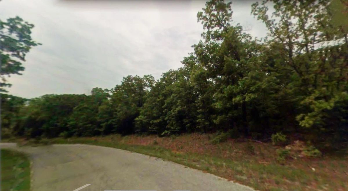 Decorative background for 0.36 Acres in Izard County image 5