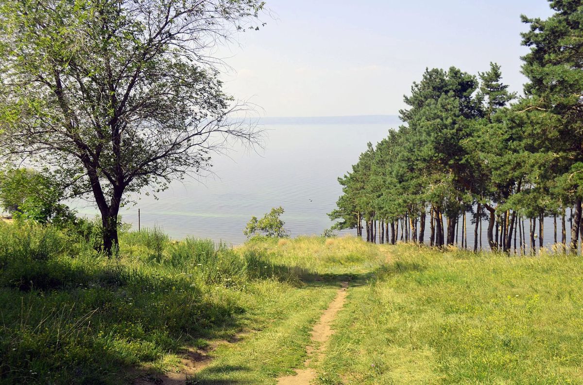 0.36 Acres in Izard County - Main image