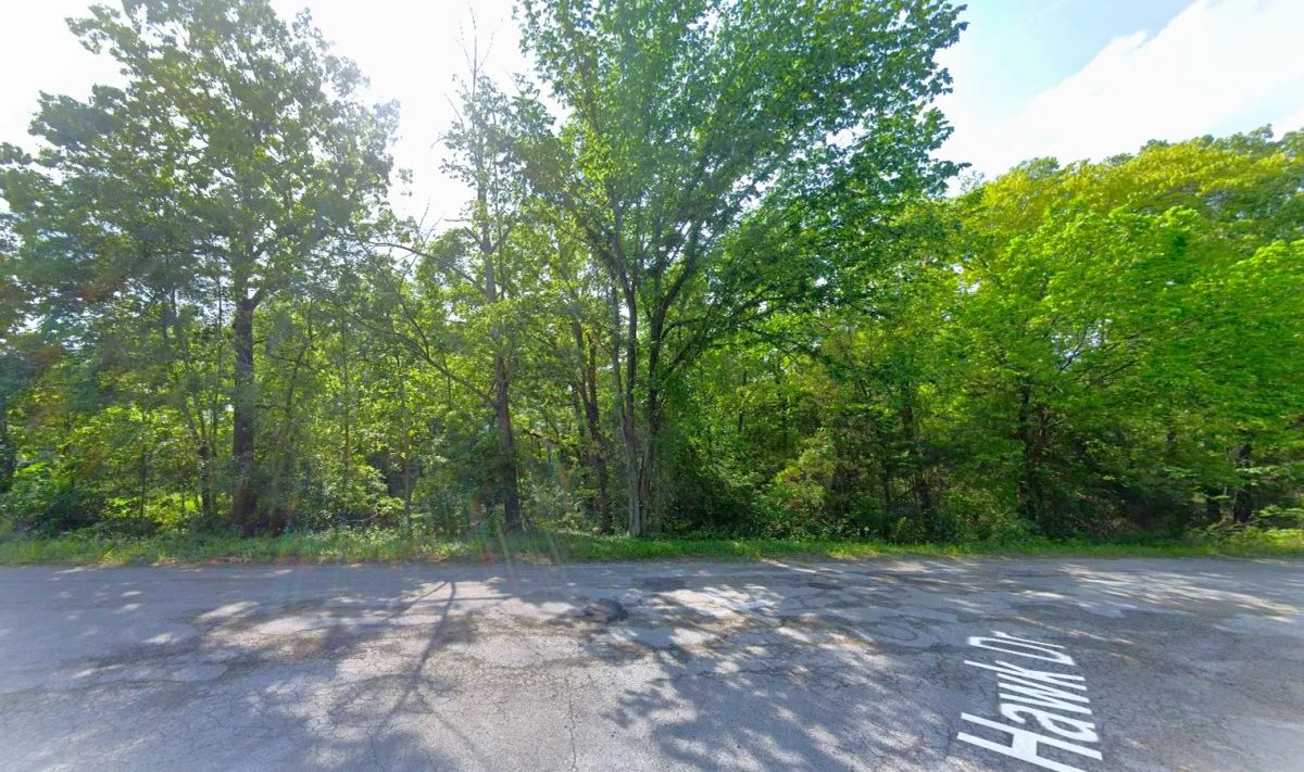 0.18 Acres in Izard County - Main image
