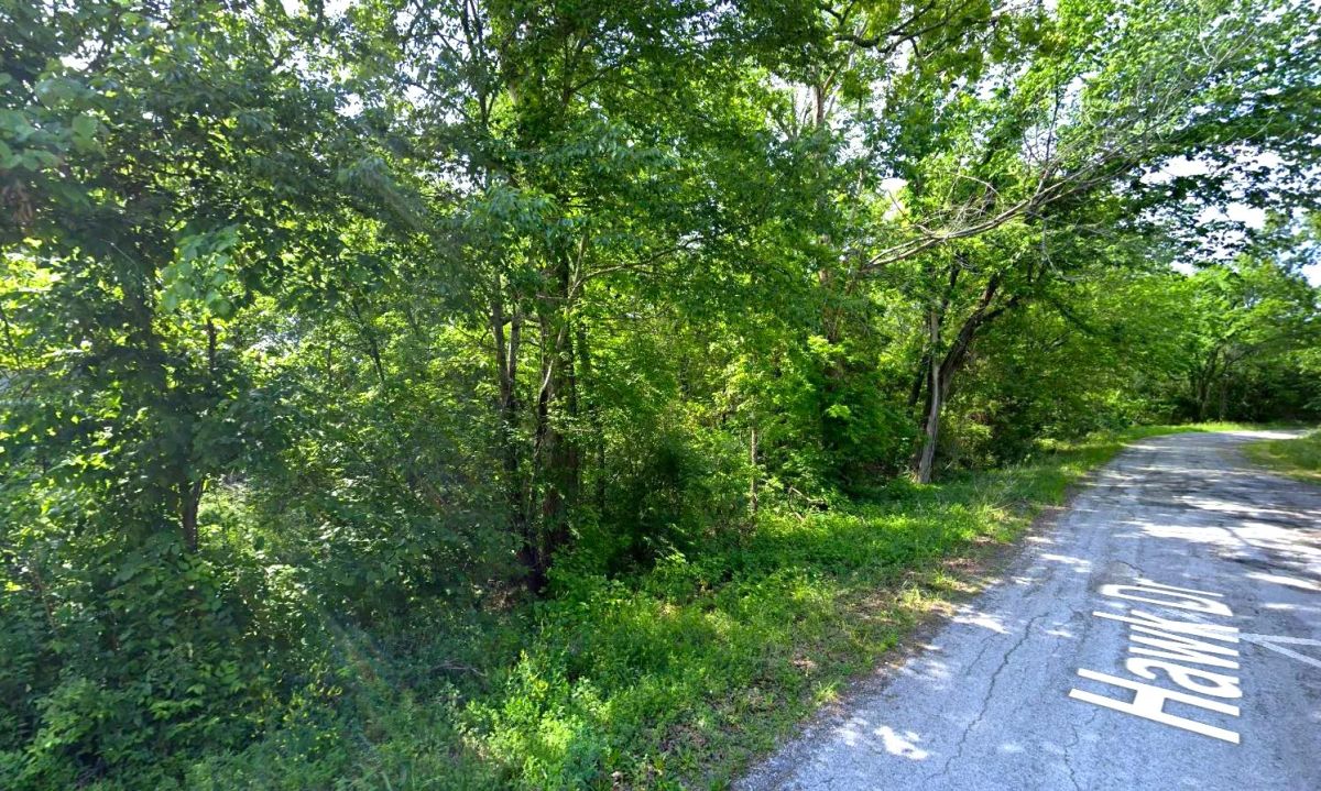 0.18 Acres in Izard County - Image 2
