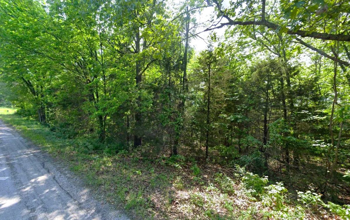 0.18 Acres in Izard County - Image 3