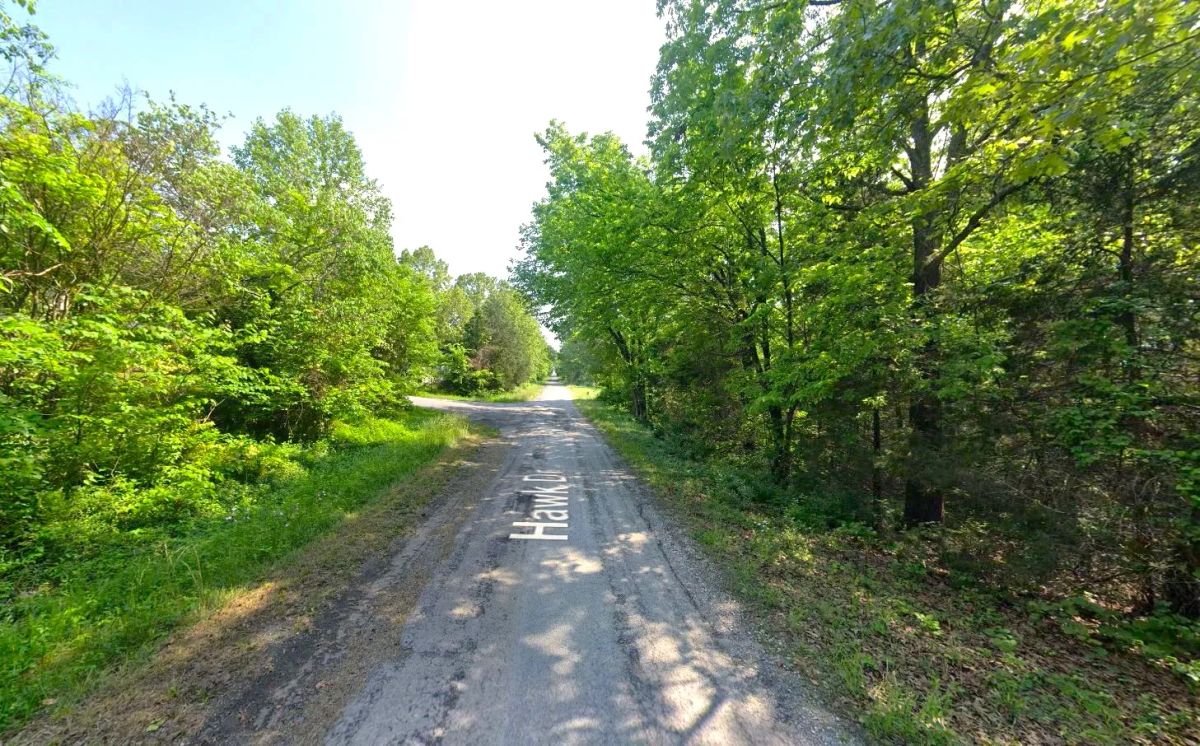 0.18 Acres in Izard County - Image 4