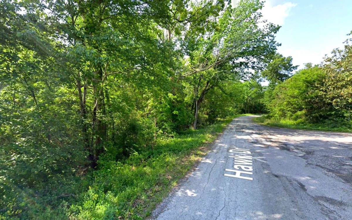 Decorative background for 0.18 Acres in Izard County image 5