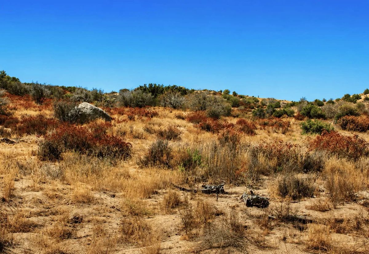 Decorative background for 9.06 Acres at the Base of Cahuilla Mountain – Your Private Escape in Anza, CA image 5