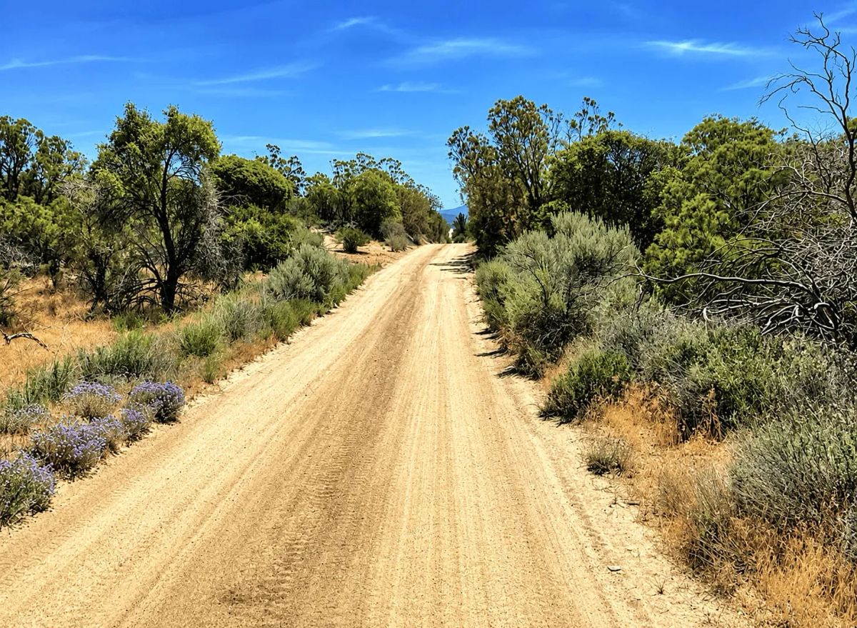 Decorative background for 9.06 Acres at the Base of Cahuilla Mountain – Your Private Escape in Anza, CA image 6