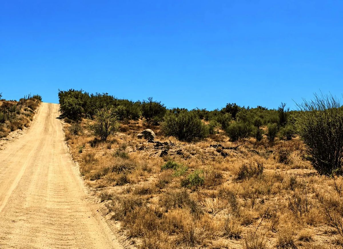 Decorative background for 9.06 Acres at the Base of Cahuilla Mountain – Your Private Escape in Anza, CA image 7