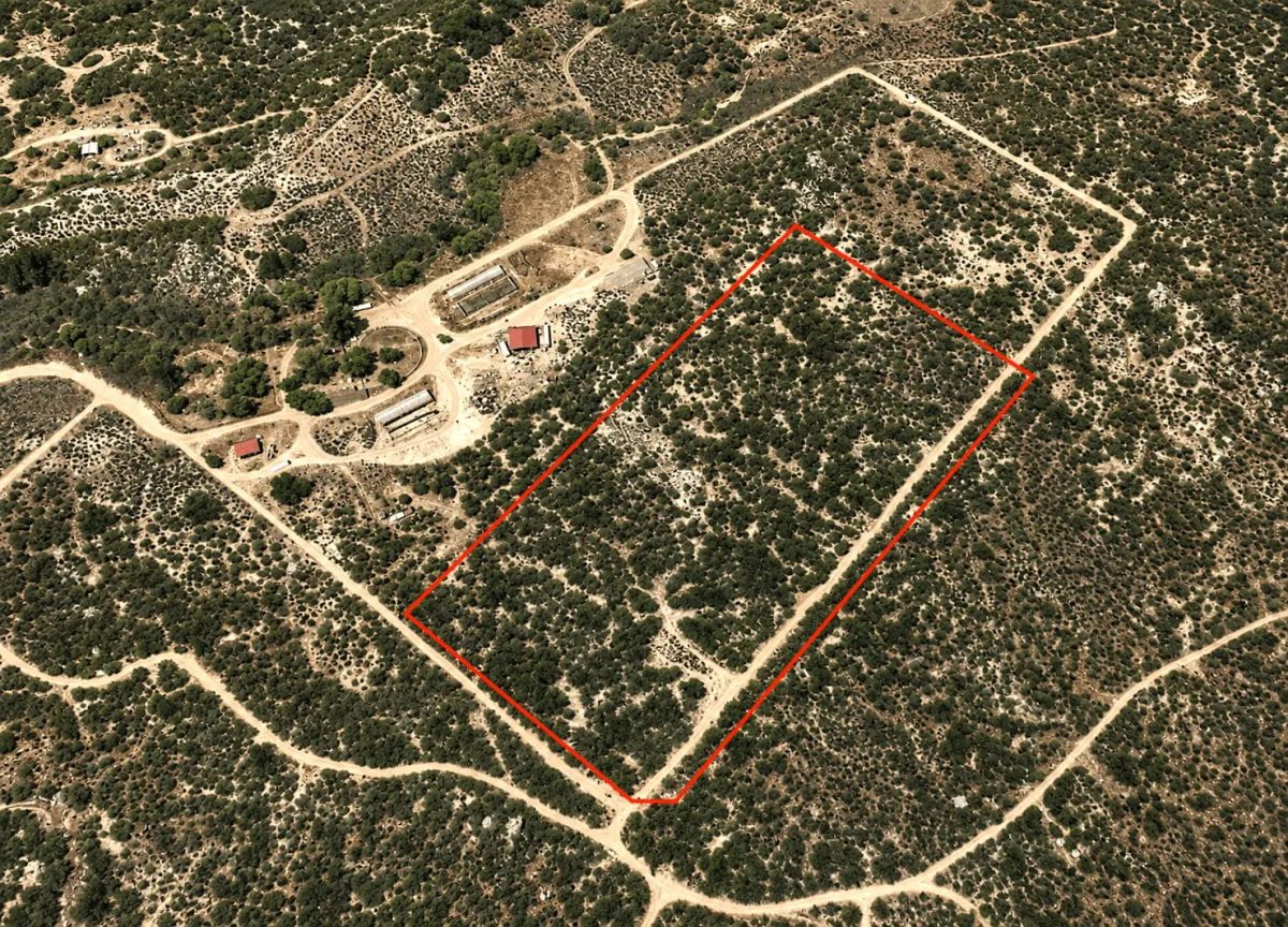 Decorative background for 9.06 Acres at the Base of Cahuilla Mountain – Your Private Escape in Anza, CA image 8
