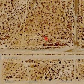 Own 1.81 acres of prime land on Washburn Blvd in California City, CA in Kern County, CA