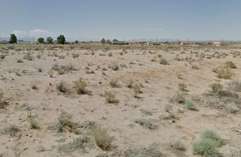 Decorative background for Secure your piece of California today—affordable land, future potential, endless possibilities! image 16