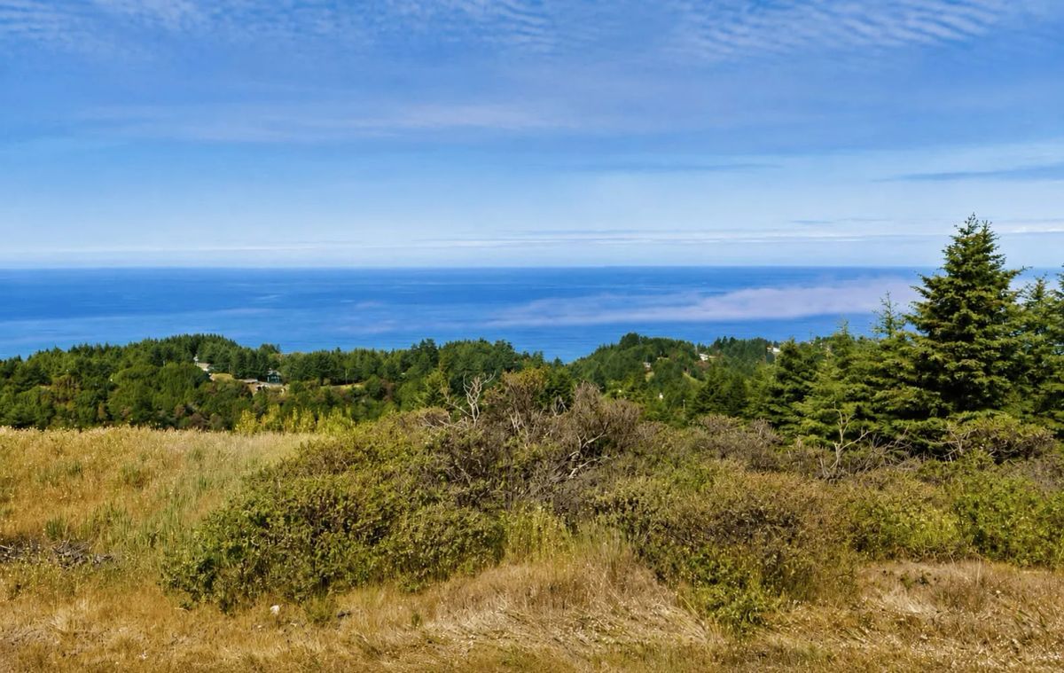 0.36 Acres with Ocean Views in Whitethorn, CA – Northern California Escape - Main image