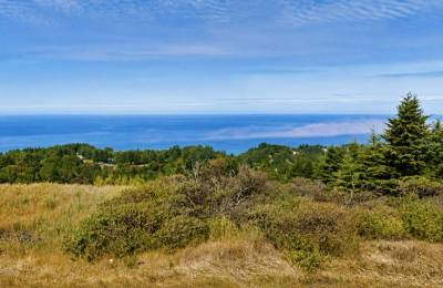 0.36 Acres with Ocean Views in Whitethorn, CA – Northern California Escape