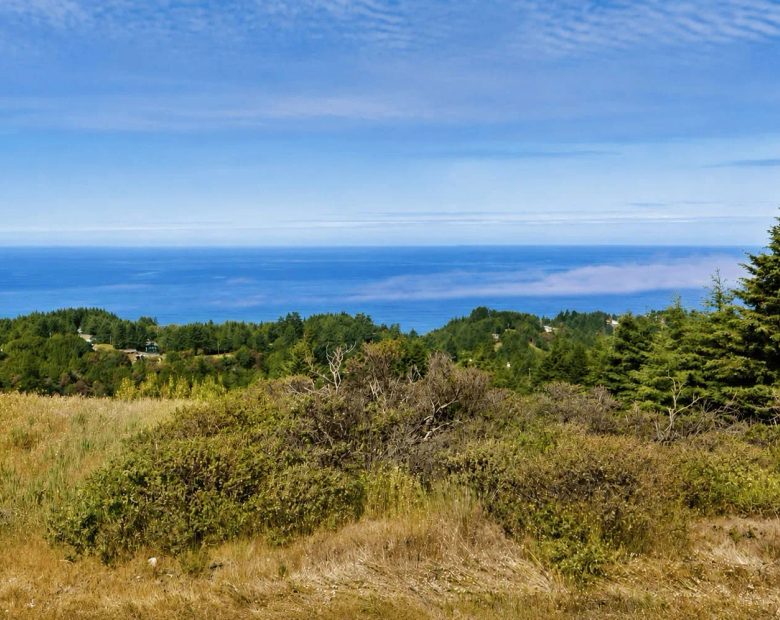 0.36 Acres with Ocean Views in Whitethorn, CA – Northern California Escape in Humboldt County, CA