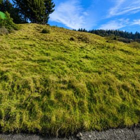0.36 Acres with Ocean Views in Whitethorn, CA – Northern California Escape in Humboldt County, CA