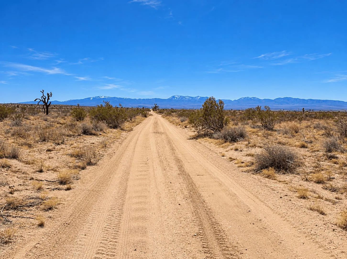 10.64 Acres in Hi Vista, CA – Corner Lot for Ranch or Off-Grid Living in Los Angeles County, CA