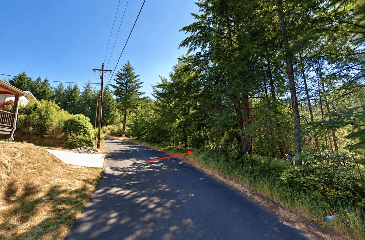 0.30 Acre in Whitethorn, CA – Peaceful Coastal Retreat Near Shelter Cove - Main image
