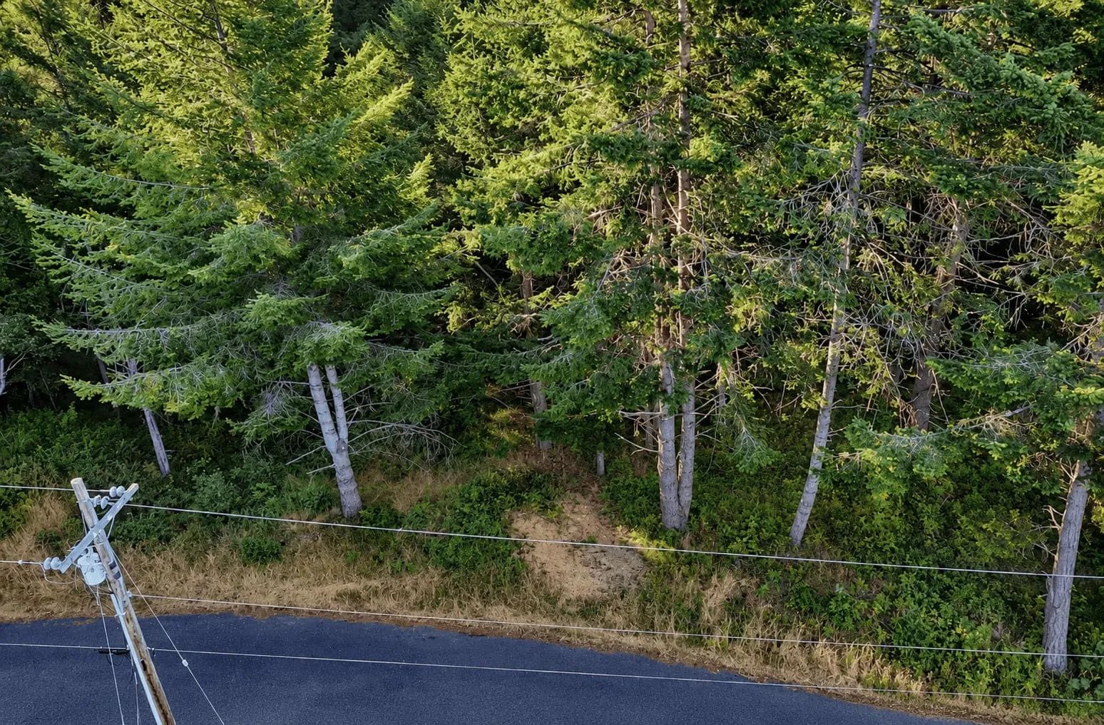 0.30 Acre in Whitethorn, CA – Peaceful Coastal Retreat Near Shelter Cove in Humboldt County, CA
