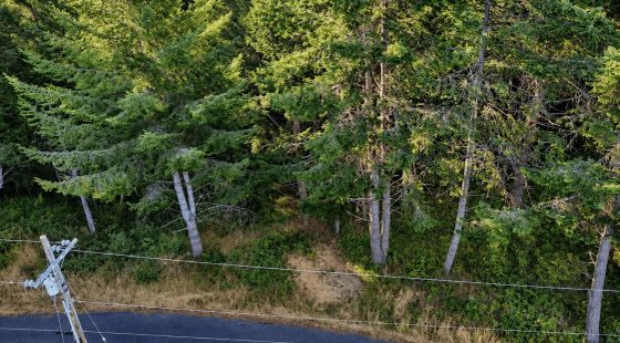 0.30 Acre in Whitethorn, CA – Peaceful Coastal Retreat Near Shelter Cove in Humboldt County, CA