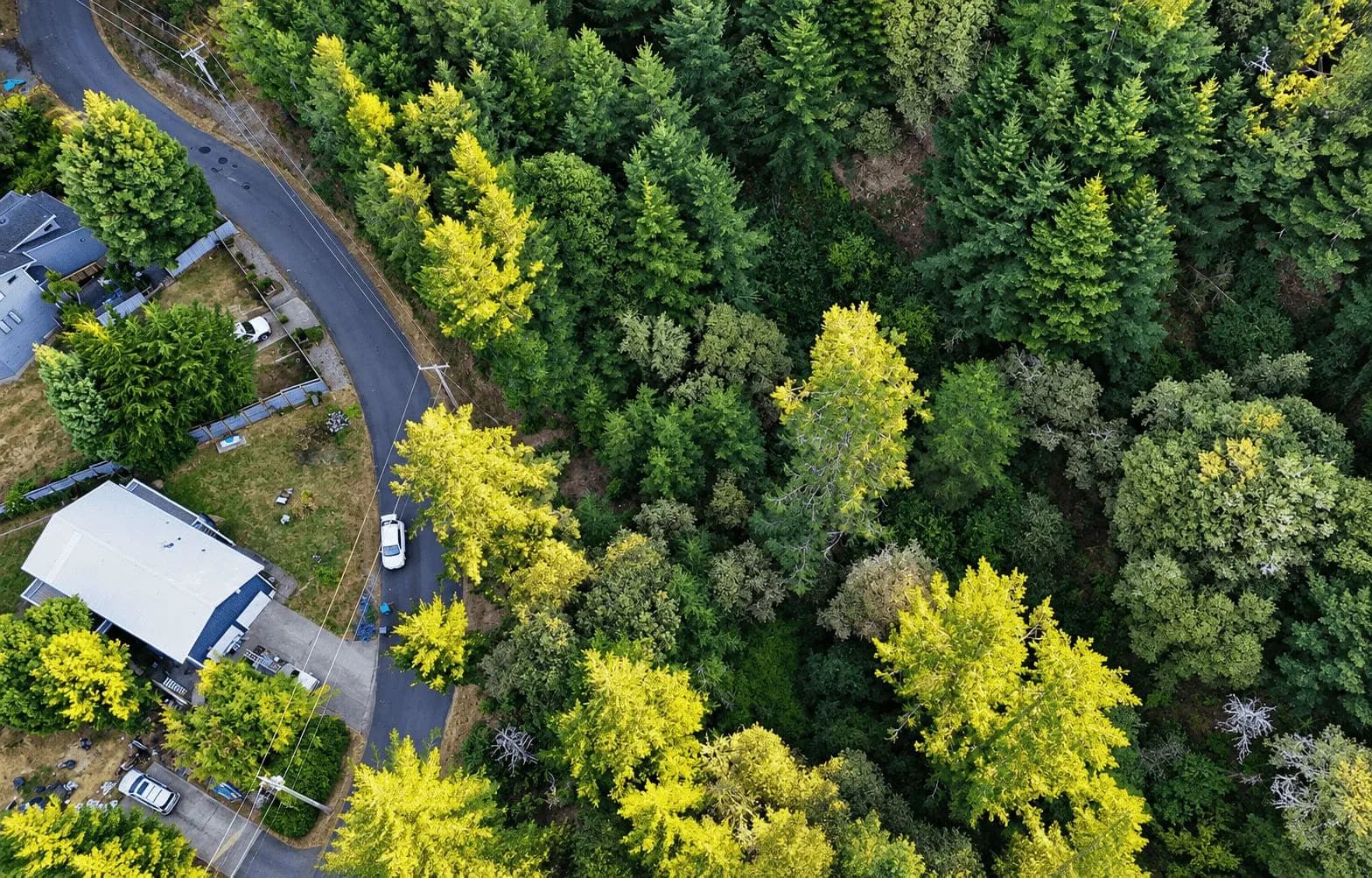 0.30 Acre in Whitethorn, CA – Peaceful Coastal Retreat Near Shelter Cove in Humboldt County, CA