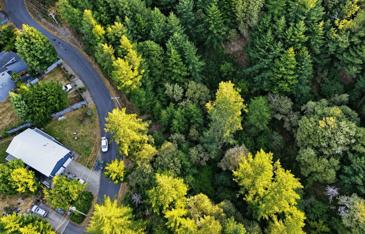 0.30 Acre in Whitethorn, CA – Peaceful Coastal Retreat Near Shelter Cove - Image 3