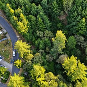 0.30 Acre in Whitethorn, CA – Peaceful Coastal Retreat Near Shelter Cove in Humboldt County, CA