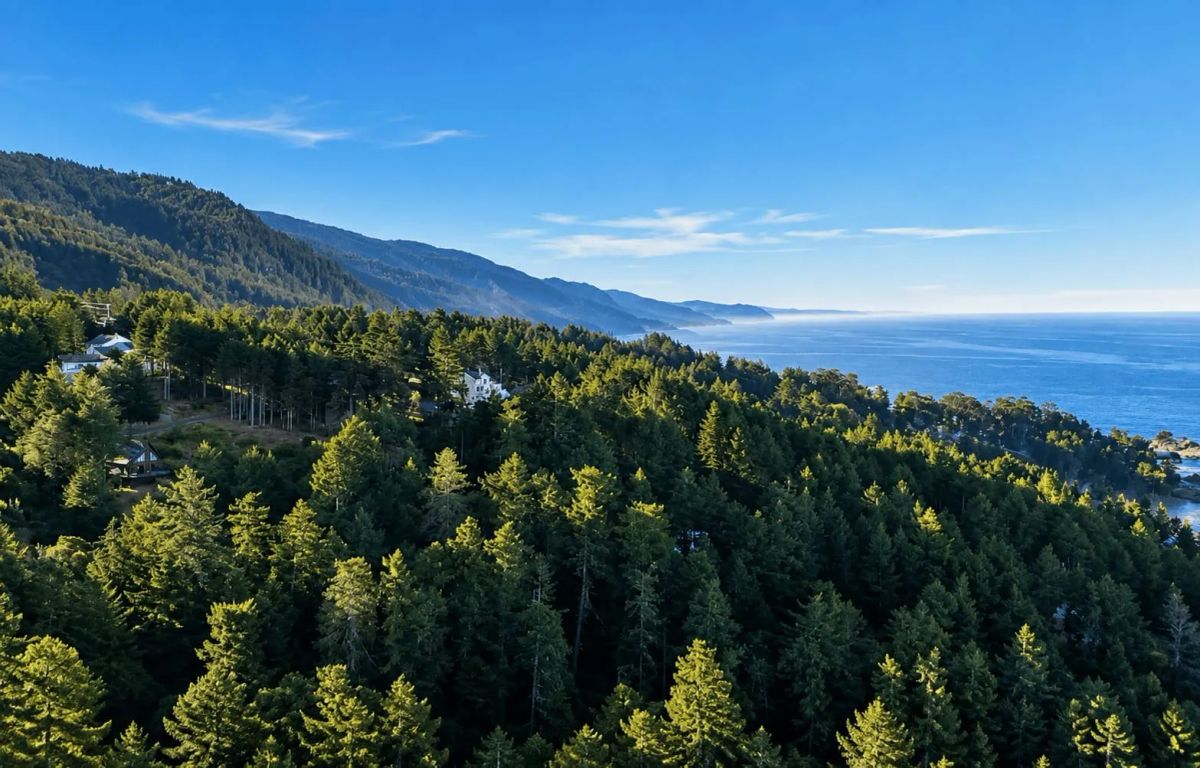 Decorative background for 0.30 Acre in Whitethorn, CA – Peaceful Coastal Retreat Near Shelter Cove image 6