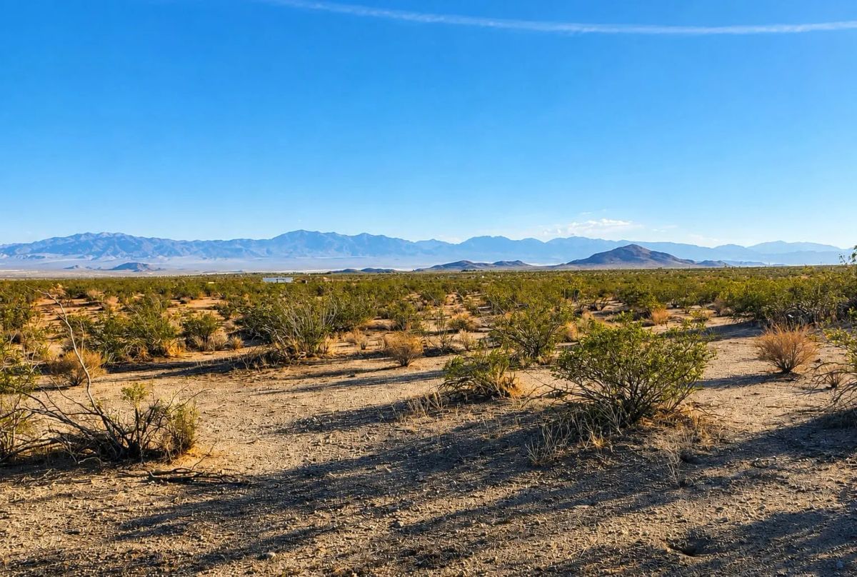 10 Acres in Hi Vista, CA – Wide Open Space for Your Big Plans - Main image