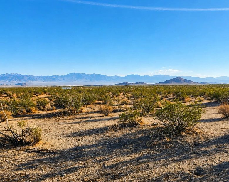 10 Acres in Hi Vista, CA – Wide Open Space for Your Big Plans in Los Angeles County, CA