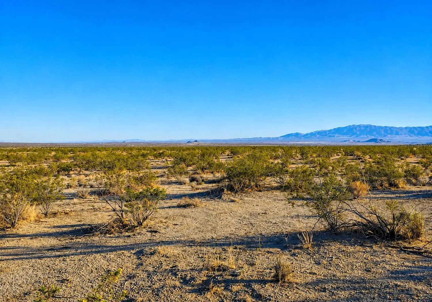 10 Acres in Hi Vista, CA – Wide Open Space for Your Big Plans in Los Angeles County, CA