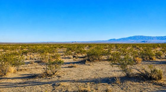 10 Acres in Hi Vista, CA – Wide Open Space for Your Big Plans in Los Angeles County, CA