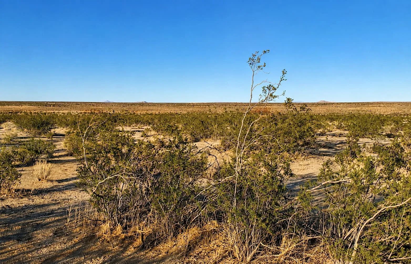 10 Acres in Hi Vista, CA – Wide Open Space for Your Big Plans in Los Angeles County, CA
