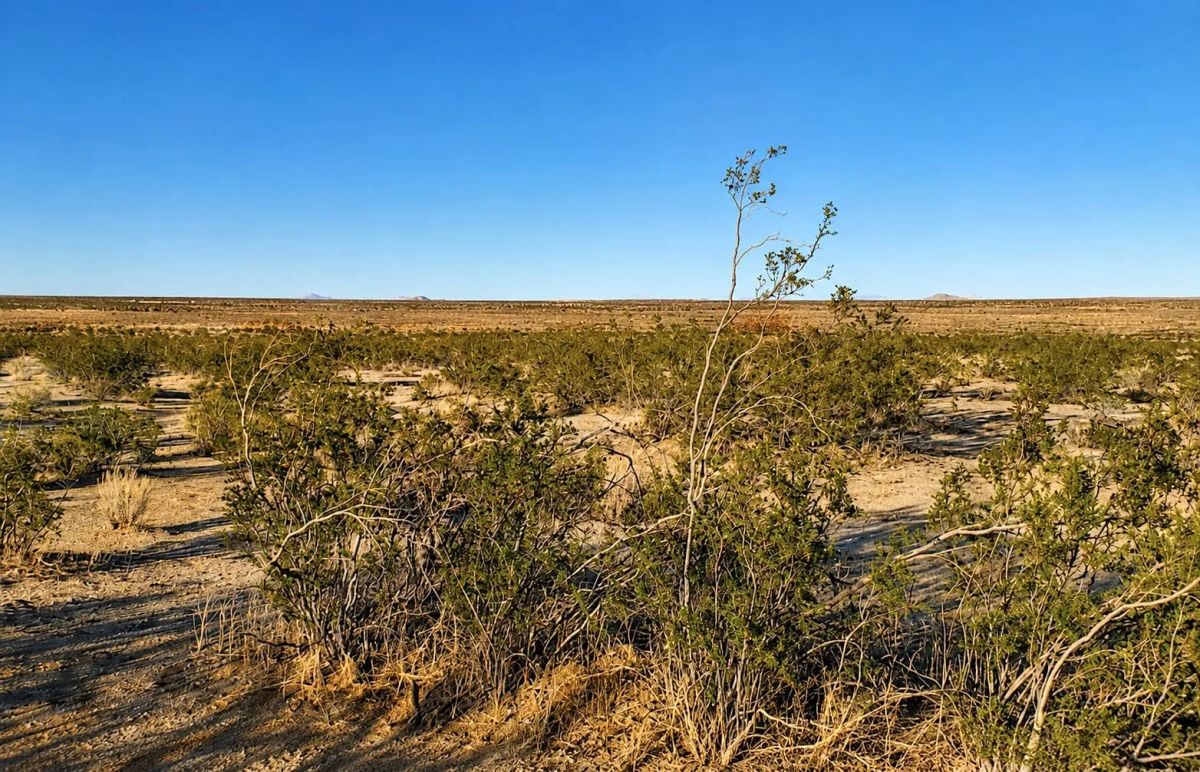 10 Acres in Hi Vista, CA – Wide Open Space for Your Big Plans - Image 4