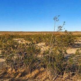 10 Acres in Hi Vista, CA – Wide Open Space for Your Big Plans in Los Angeles County, CA
