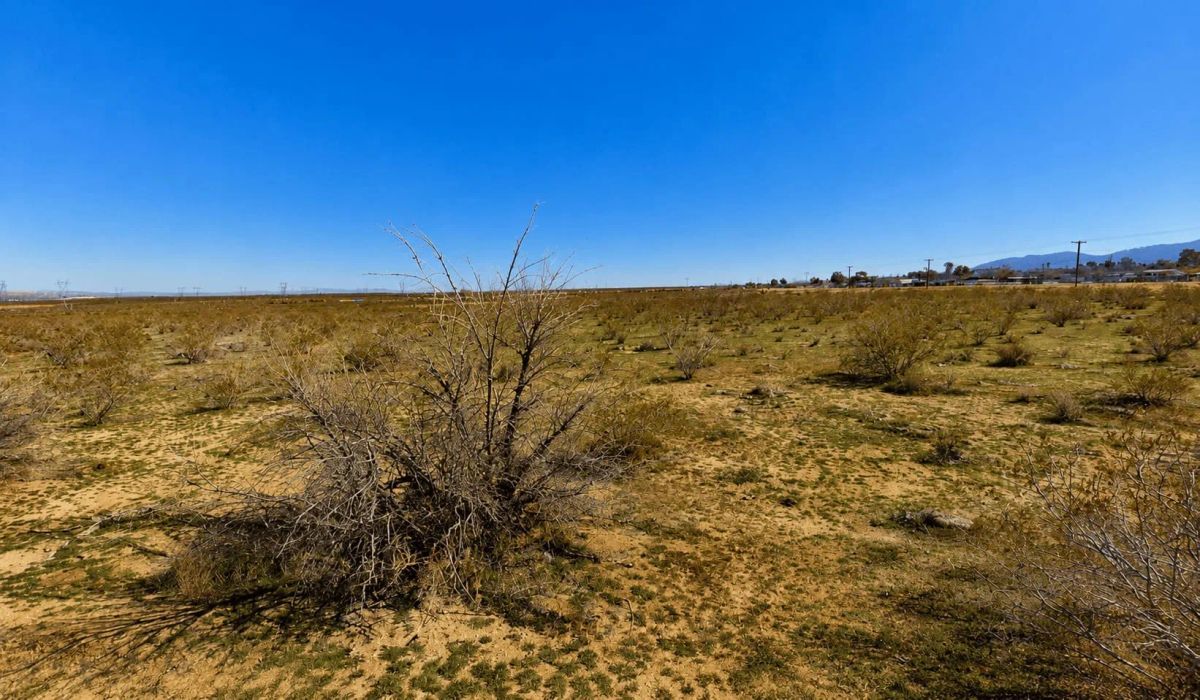Decorative background for Two properties 18 Acres Commercial Acreage On Pearblossom Highway image 6