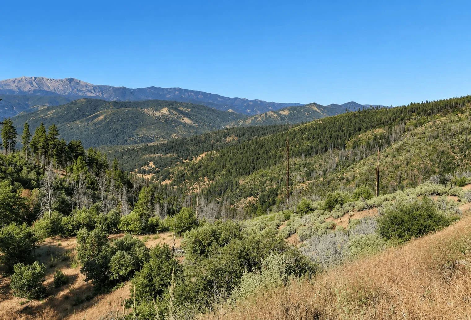 76.5 Acres in Horse Creek, CA – Private Retreat Bordering Klamath National Forest