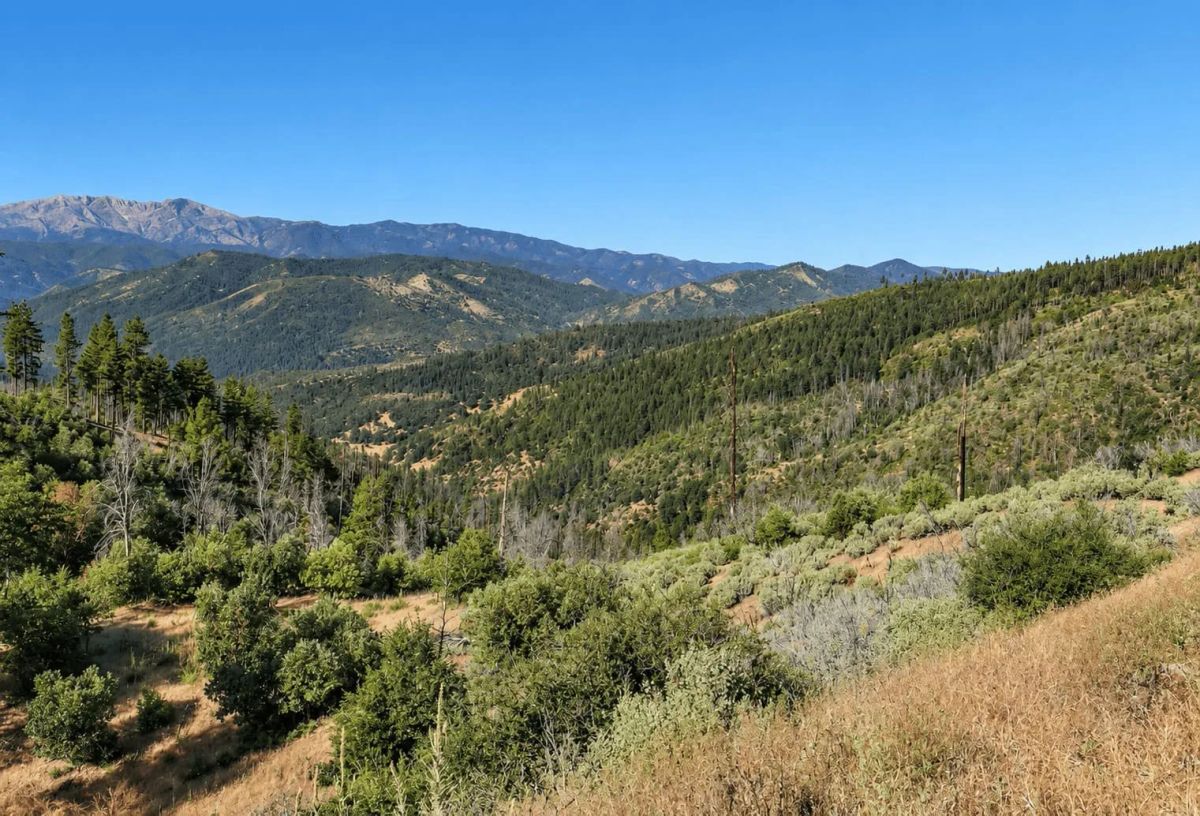 76.5 Acres in Horse Creek, CA – Private Retreat Bordering Klamath National Forest - Main image