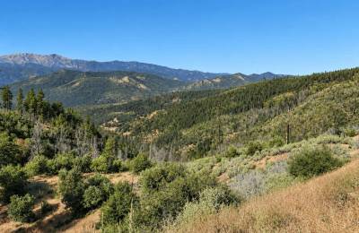 76.5 Acres in Horse Creek, CA – Private Retreat Bordering Klamath National Forest