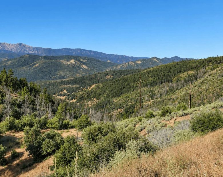 76.5 Acres in Horse Creek, CA – Private Retreat Bordering Klamath National Forest in Siskiyou County, CA