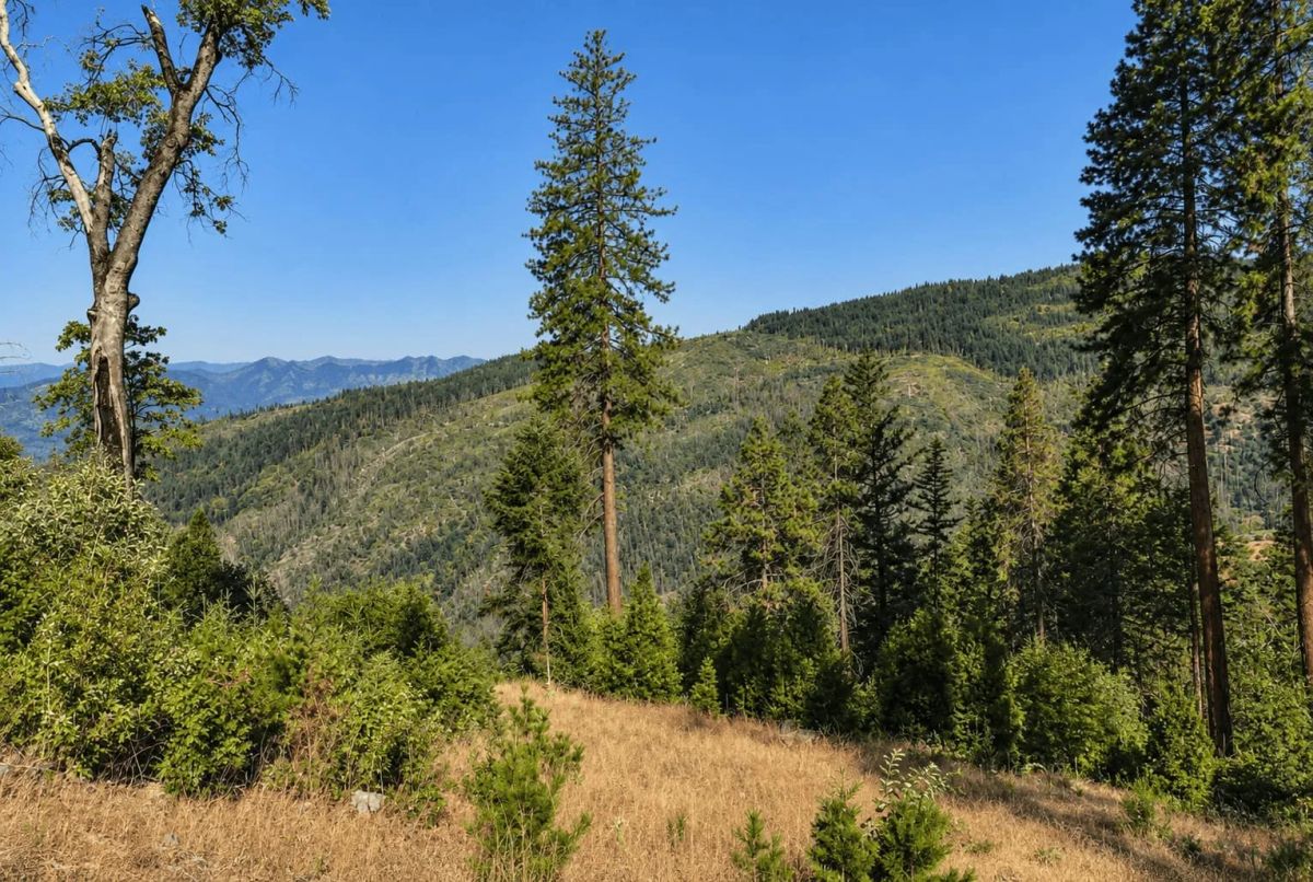 76.5 Acres in Horse Creek, CA – Private Retreat Bordering Klamath National Forest - Image 3