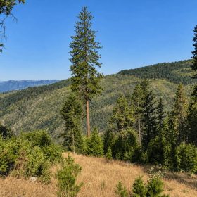 76.5 Acres in Horse Creek, CA – Private Retreat Bordering Klamath National Forest in Siskiyou County, CA