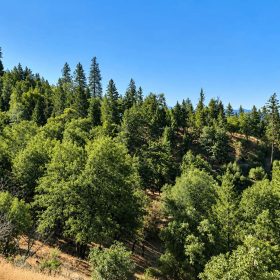 76.5 Acres in Horse Creek, CA – Private Retreat Bordering Klamath National Forest in Siskiyou County, CA