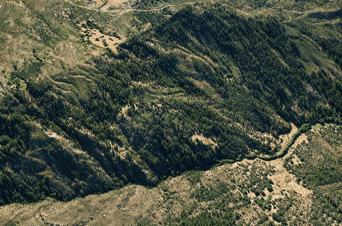 Decorative background for 76.5 Acres in Horse Creek, CA – Private Retreat Bordering Klamath National Forest image 5