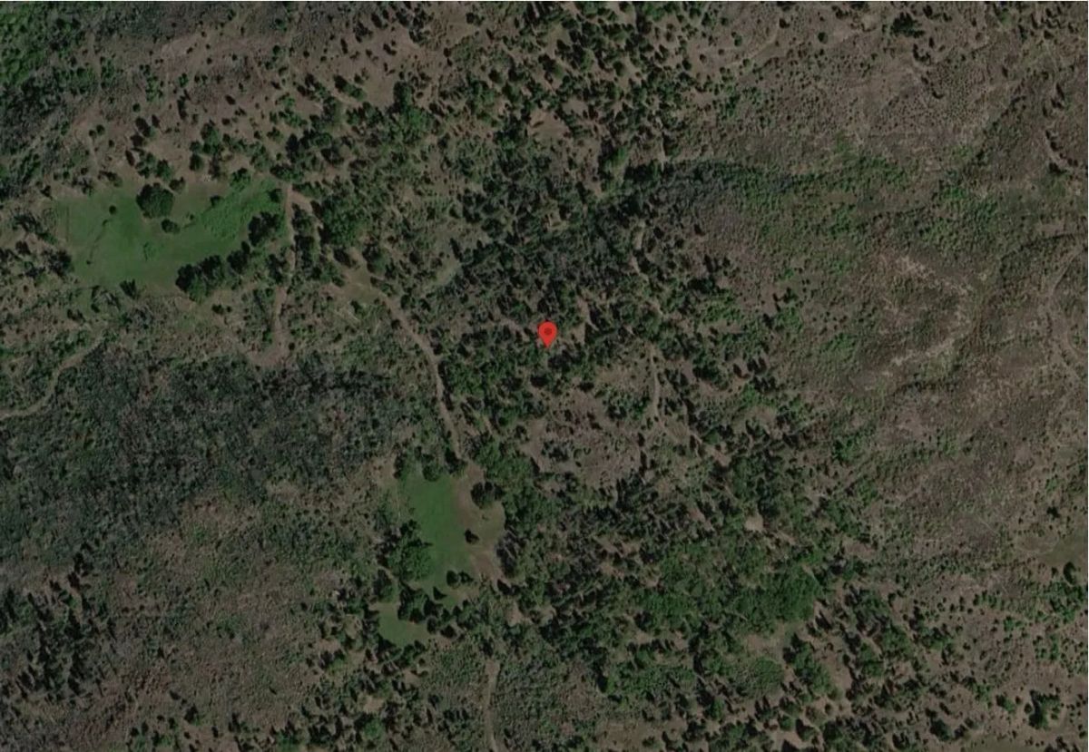Decorative background for 76.5 Acres in Horse Creek, CA – Private Retreat Bordering Klamath National Forest image 11