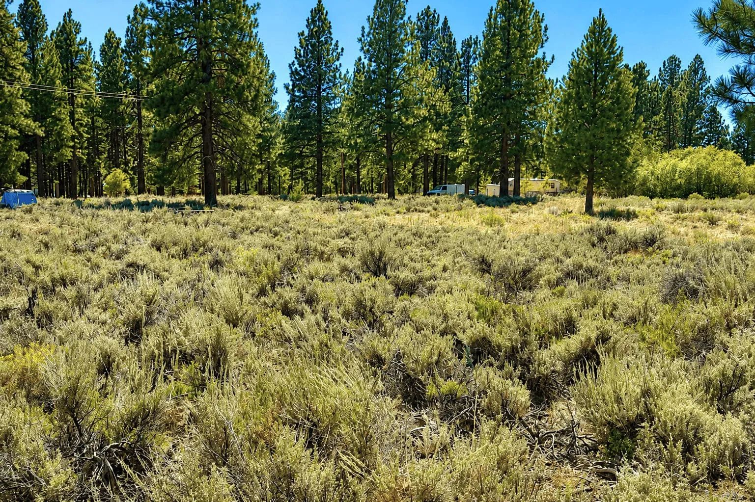 0.27 Acres Near Eagle Lake – Build or Camp in Susanville, CA in Lassen County, CA