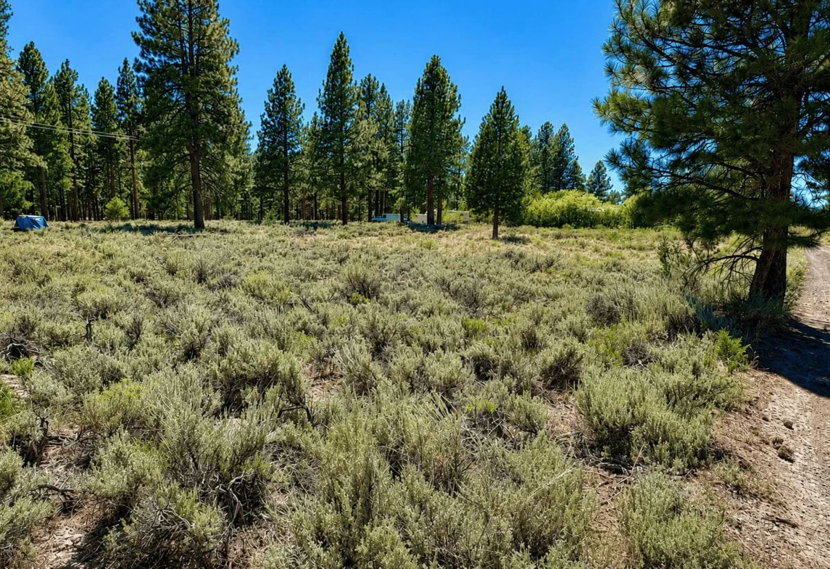 0.27 Acres Near Eagle Lake – Build or Camp in Susanville, CA - Image 3