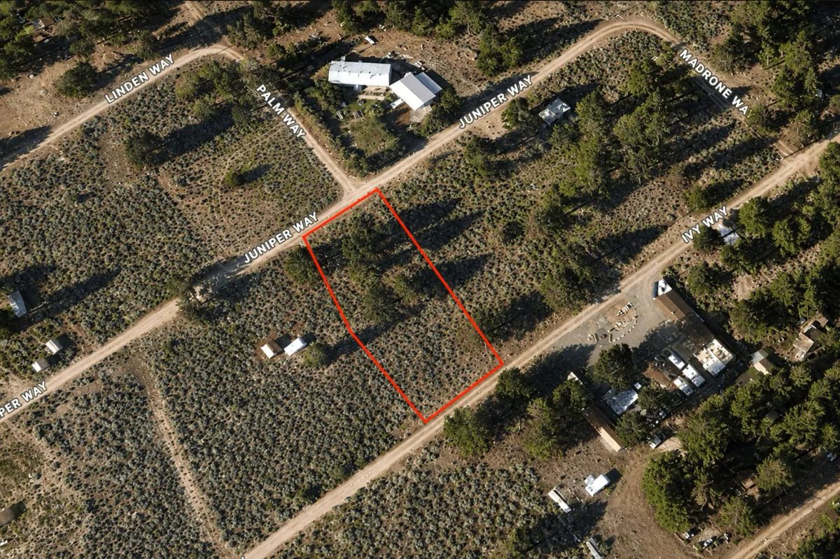 Decorative background for 0.27 Acres Near Eagle Lake – Build or Camp in Susanville, CA image 5